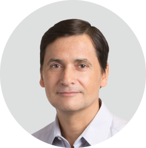 Domingo Mihovilovic Ph.D.